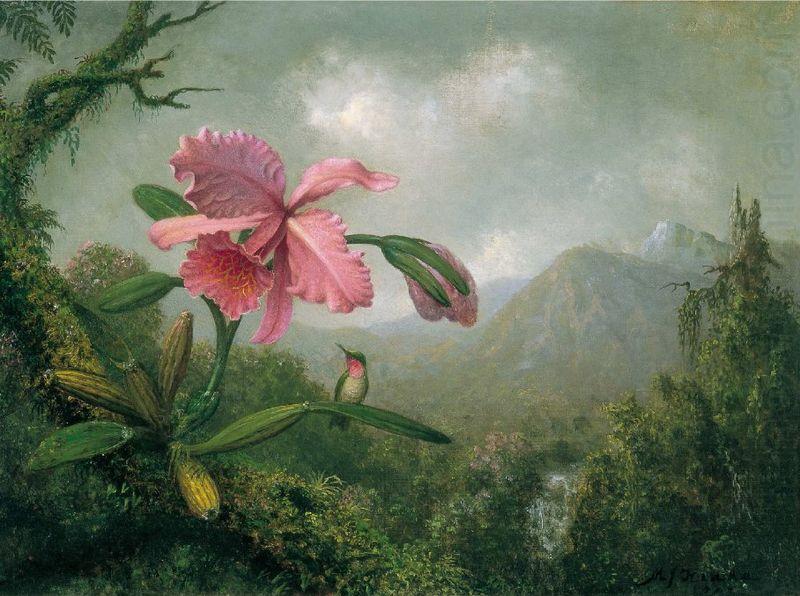 Orchid and Hummingbird near a Mountain Waterfall, Martin Johnson Heade